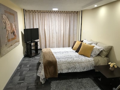 Apartamento entero Zona Rosa