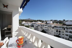 Terrace overlooking the main street & showing the view to "La Concha" mountain.