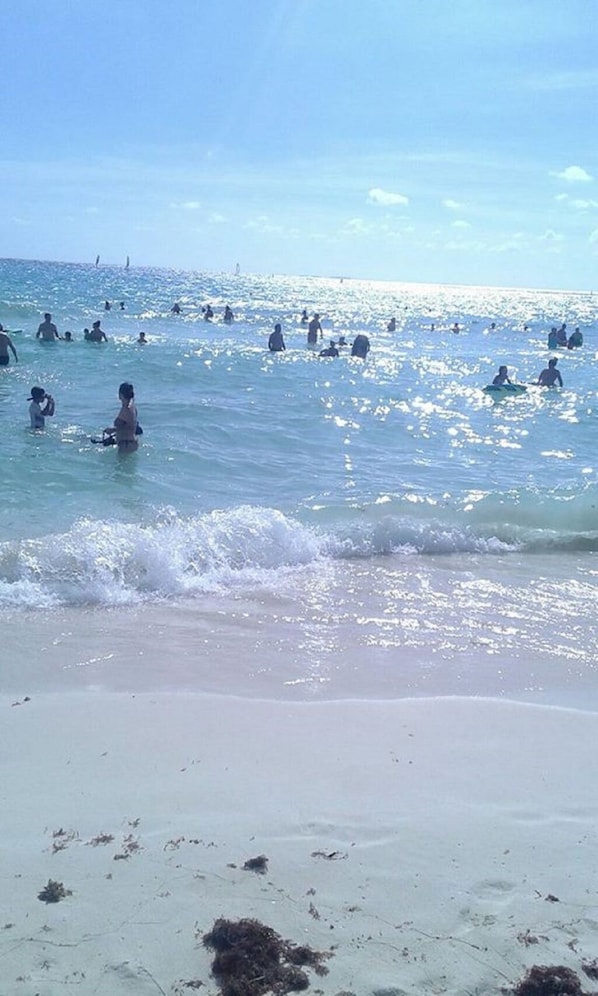 Swimming freely in the beautiful Ocean