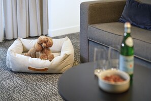 Djurvänliga bekvämligheter