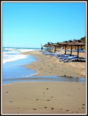 Sunloungers for hire from beach churingtos (beach bars)