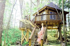 Stairs to the rustic Nipa wood house, a hidden retreat in the midst of nature's embrace.