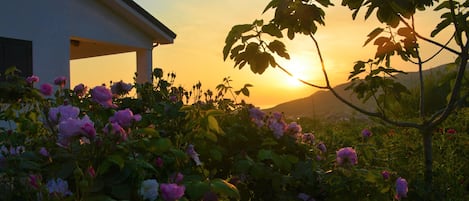 Jardines del alojamiento