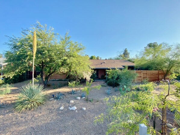 Landscaped to enhance privacy on a dead end street with very friendly neighbors