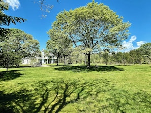 Large lawn looking towards the back of the house.
