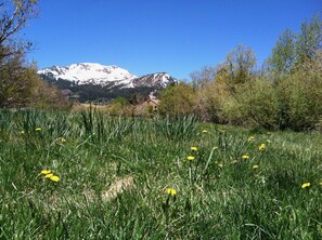Snowcreek Meadow is just 50 steps from the front door.
