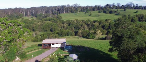 Whipbird cabin at Bellthorpe Stays