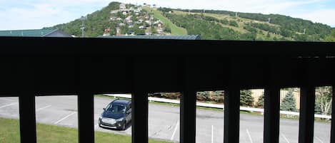 Balcony views of Ski Slopes only 2 miles away!!