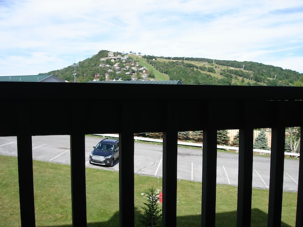Balcony views of Ski Slopes only 2 miles away!!