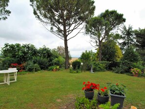 Eigentum, Baum, Garten, Garten, Hinterhof, Natürliche Landschaft, Gras, Rasen, Haus, Botanik