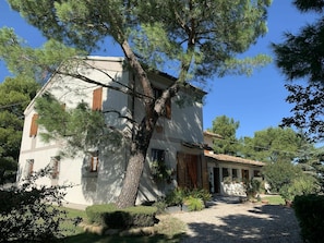 Pflanze, Gebäude, Himmel, Fenster, Baum, Haus, Hütte, Wohngebiet, Gras, Fassade