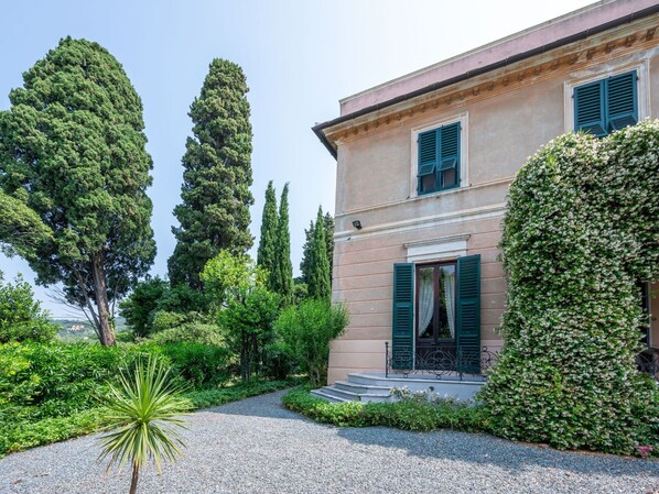 Strauch, Garten, Schatten, Landscaping, Hecke, Immergrün, Auffahrt, Villa