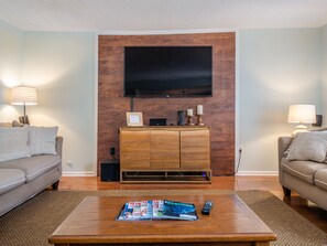 Living Room TV