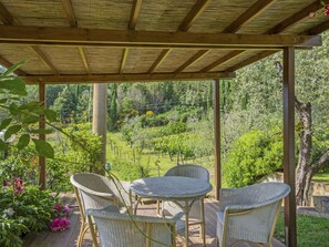 Property, House, Real Estate, Backyard, Building, Room, Yard, Botany, Tree, Home
