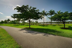 The lovely pathways are perfect for an energizing stroll in the morning.