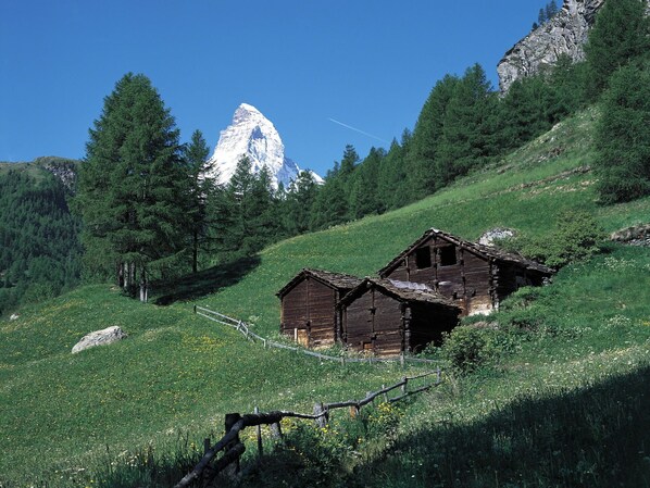 Himmel, Pflanze, Berg, Natürliche Landschaft, Baum, Steigung, Lärche, Hochland, Gras, Haus