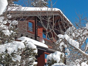 Neige, L'Hiver, Gelé, Géologique Phénomène, Propriété, Maison, Arbre, Architecture, La Glace, Branche
