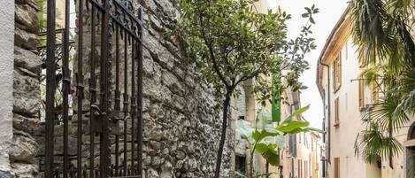 Plante, Bâtiment, Fenêtre, Pot De Fleur, Surface De La Route, Quartier, Ruelle, Design Urbain, Route, Façade