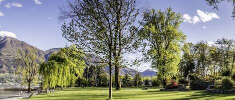 Wolke, Himmel, Pflanze, Blatt, Natur, Natürliche Landschaft, Natürlichen Umgebung, Ast, Baum, Schatten