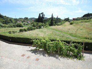 Vegetation, Strauch, Garten, Gras, Baum, Wildnis, Himmel, Botanik, Graspflanze, Grundstueck