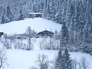 Schnee, Winter, Baum, Einfrieren, Atmosphärisches Phänomen, Frost, Bergstation, Zuhause, Geologisches Phänomen