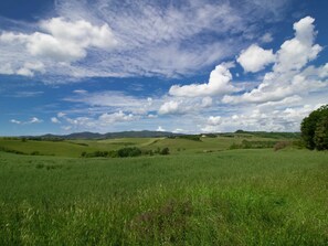 Wolke, Himmel, Pflanze, Grün, Natürliche Landschaft, Kumulus, Baum, Landwirtschaft, Wiese, Landschaft