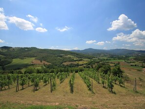 Himmel, Hochland, Hügel, Bergforms, Bergstation, Wolke, Wildnis, Weinberg, Berg, Ländliches Gebiet
