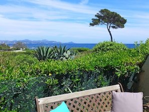 Ciel, Nuage, Plante, Communauté Des Plantes, Vert, Bleu, L'Eau, Bleu Azur, Paysage Naturel, Végétation