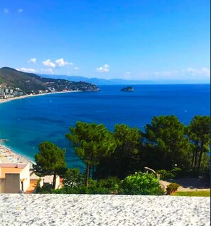 Beach/ocean view