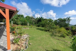 Areal view