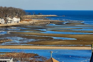 View of Compo Cove beach during low tide