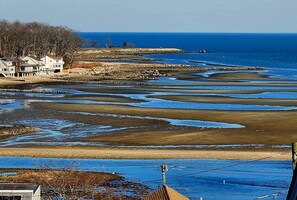 View of Compo Cove beach during low tide