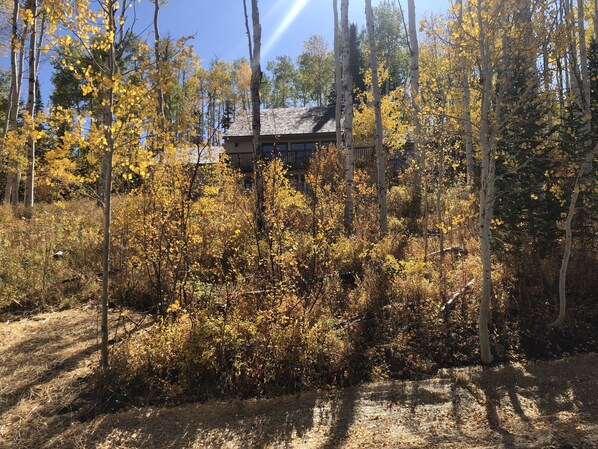 View from bottom of property