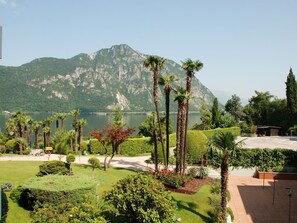 Vegetation, Baum, Botanischer Garten, Botanik, Bergstation, Landschaft, Palme, Pflanze, Garten, Gras