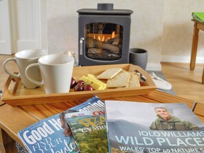 Warm and cosy bio-ethanol stove | Bryn Boda, Nantglyn, near Denbigh