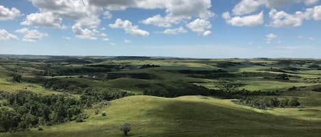 Back pasture overlook