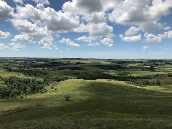 Back pasture overlook