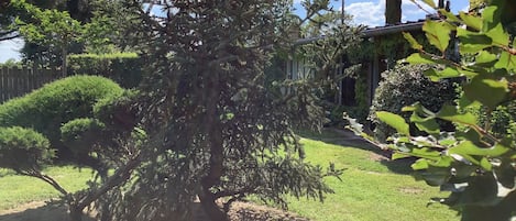 Vue du jardin... un aperçu de l'Atelier