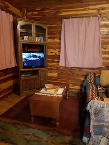 Cozy 2 rm pet friendly cabin- private lake - fishing & swimming - IndianCabin