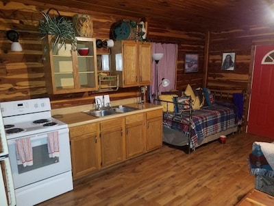 Cozy 2 rm pet friendly cabin- private lake - fishing & swimming - IndianCabin