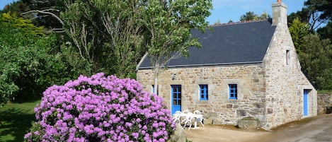 Gîte de Brémeur