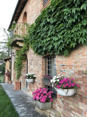 Exterior detail