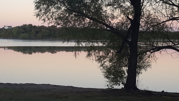 The view