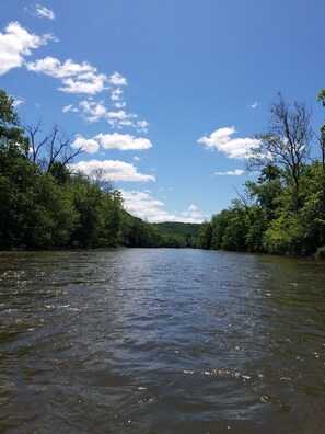 View of creek