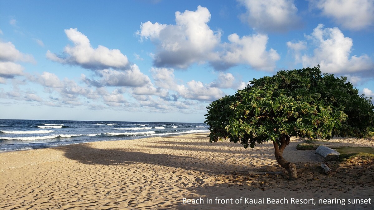 4 Star Beach Front Luxury Resort, Lanai Ocean View, 1 minute walk to the beach