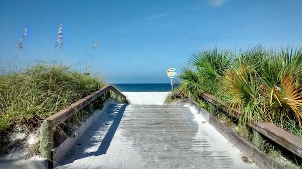 boardwalk walkover