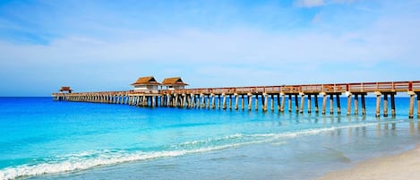 THE HISTORIC NAPLES PIER