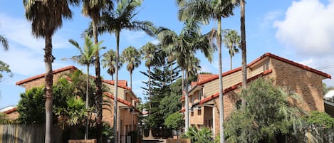 Streetscape view of Pacific Palms
