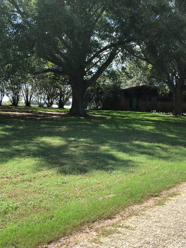 Front yard view. Very large’