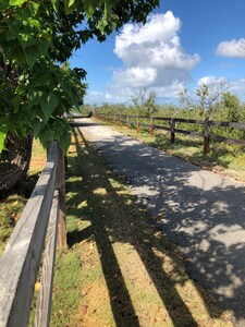 Kelly's Kabin private cottage on Summerland Key